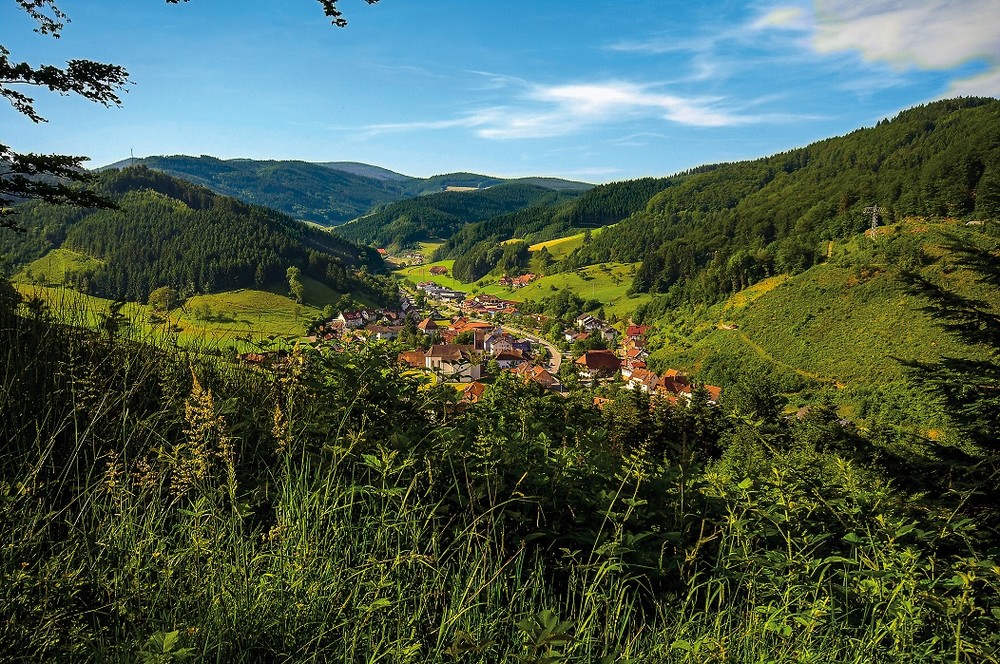 Mühlenbach im Schwarzwald