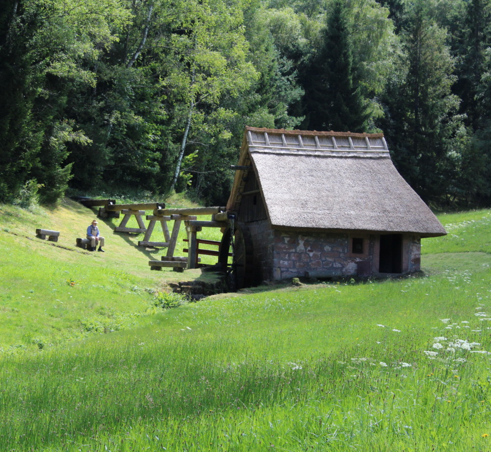 Mooswaldmühle Lauterbach
