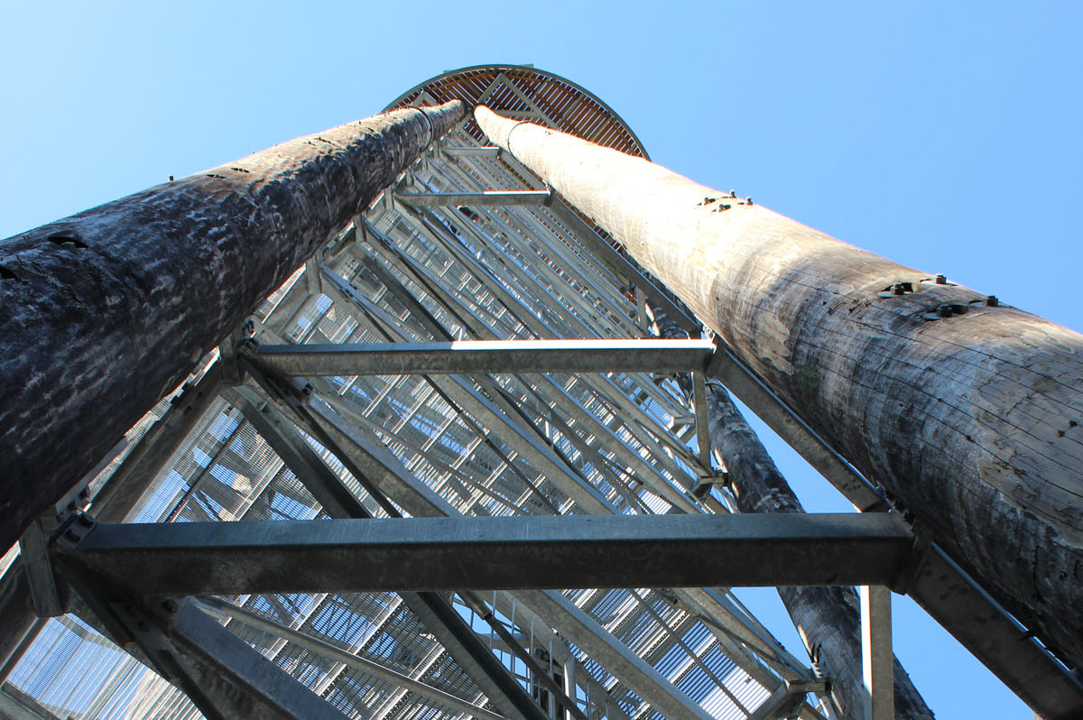Treppenaufbau des Aussichtsturms Urenkopf