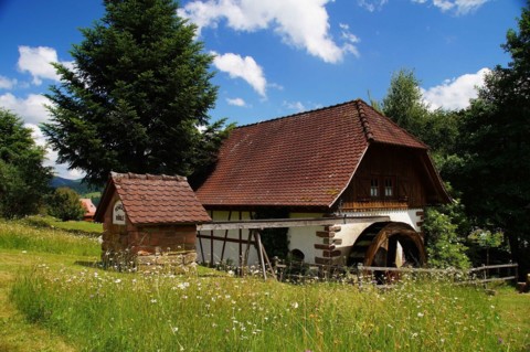 Vögelesmühle in Steinach